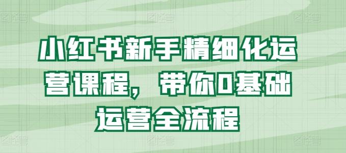 小红书新手精细化运营课程，带你0基础运营全流程-随风资源网