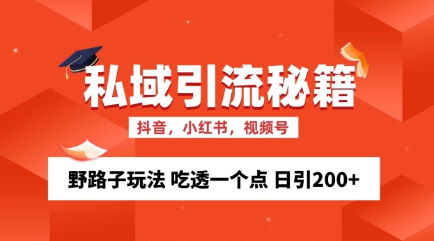 私域流量的精准化获客方法 野路子玩法 吃透一个点 日引200+ 【揭秘】-随风资源网