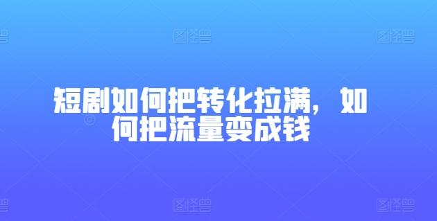 短剧如何把转化拉满，如何把流量变成钱-随风资源网
