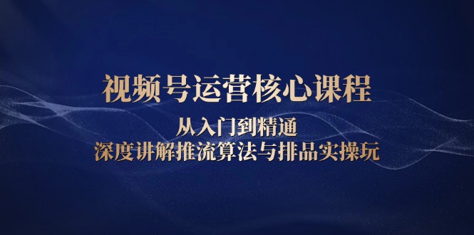 视频号运营核心课程，从入门到精通，深度讲解推流算法与排品实操玩-随风资源网