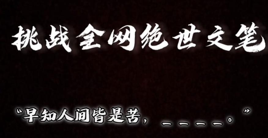 视频号小众玩法，文笔挑战，互动拉满，轻松赚取分成收益！小白也可当天上手-随风资源网
