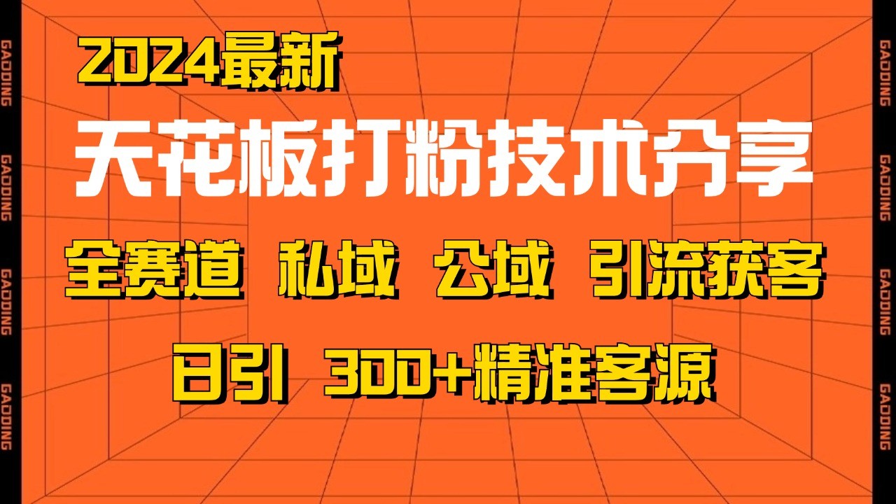天花板打粉技术分享，野路子玩法 曝光玩法免费矩阵自热技术日引2000+精准客户-随风资源网