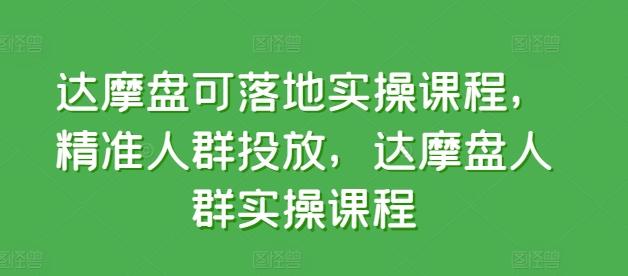 达摩盘可落地实操课程，精准人群投放，达摩盘人群实操课程-随风资源网