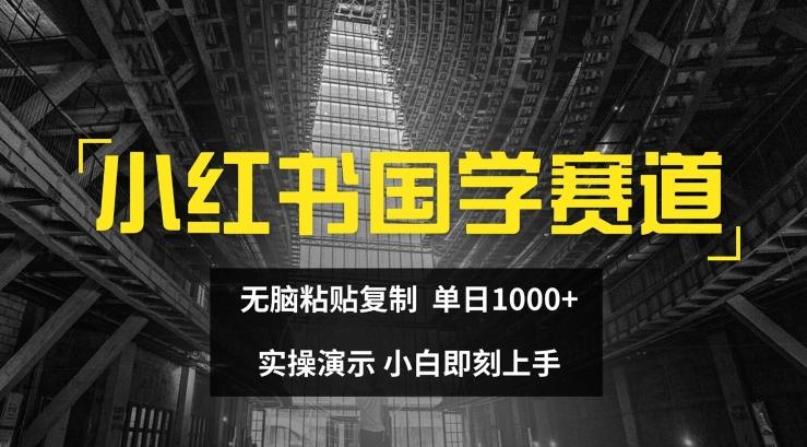 小红书国学赛道，无脑粘贴复制，单日1K，实操演示，小白即刻上手【揭秘】-随风资源网