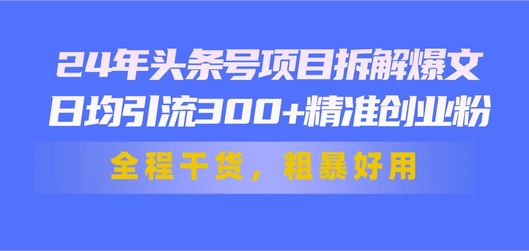 24年头条号项目拆解爆文，日均引流300+精准创业粉，全程干货，粗暴好用-随风资源网
