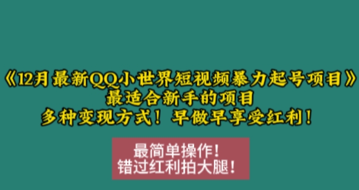 12月最新QQ小世界短视频暴力起号项目，最适合新手的项目，多种变现方式-随风资源网