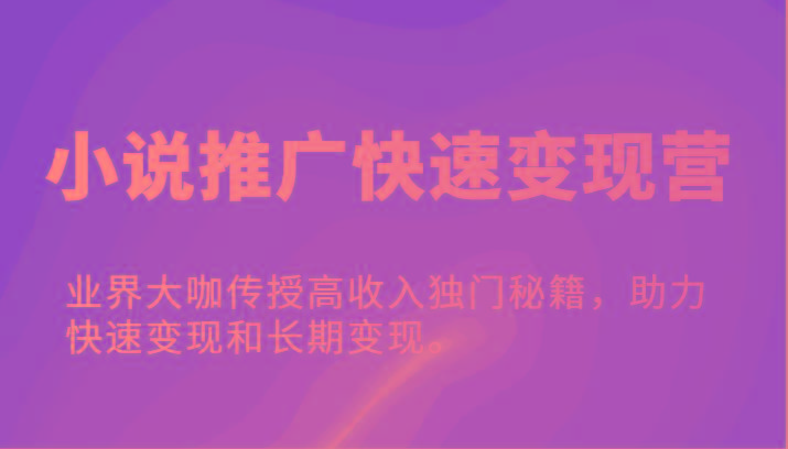 小说推广快速变现营-业界大咖传授高收入独门秘籍，助力快速变现和长期变现。-随风资源网