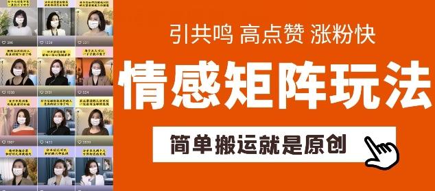 简单搬运，情感矩阵玩法，涨粉速度快，可带货，可起号【揭秘】-随风资源网