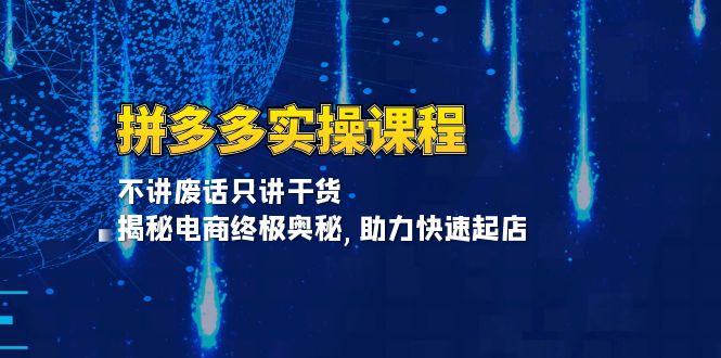 拼多多实操课程：不讲废话只讲干货, 揭秘电商终极奥秘,助力快速起店-随风资源网