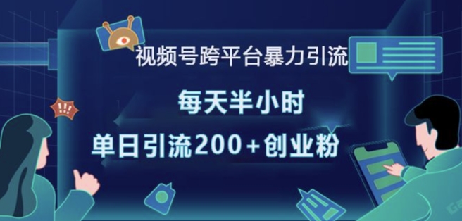 视频号跨平台暴力引流，每天半小时，单日引流200+精准创业粉-随风资源网