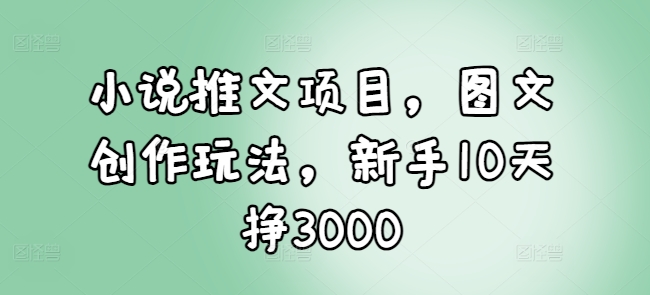 小说推文项目，图文创作玩法，新手10天挣3000-随风资源网
