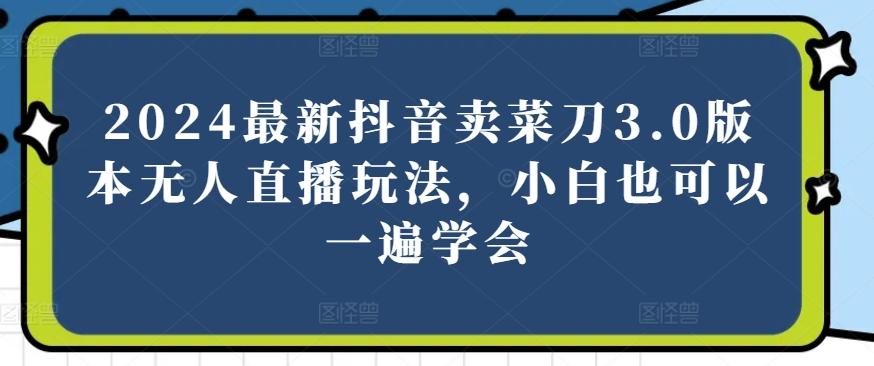 2024最新抖音卖菜刀3.0版本无人直播玩法，小白也可以一遍学会【揭秘】-随风资源网