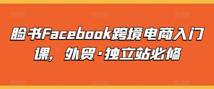 脸书Facebook跨境电商入门课，外贸·独立站必修-随风资源网