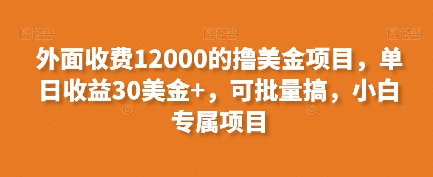 外面收费12000的撸美金项目，单日收益30美金+，可批量搞，小白专属项目-随风资源网