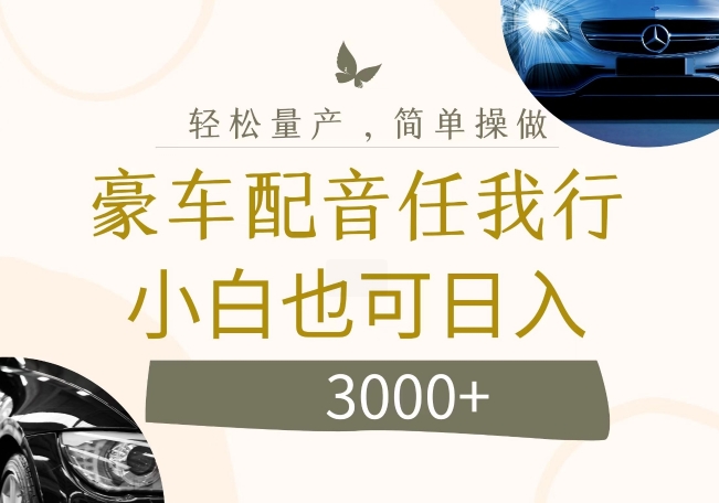 不为人知的暴力小项目，豪车配音，日入几张【揭秘】-随风资源网