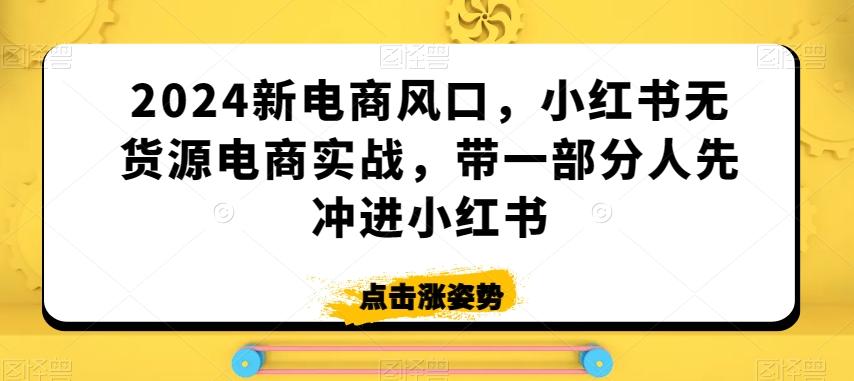 2024新电商风口，小红书无货源电商实战，带一部分人先冲进小红书-随风资源网