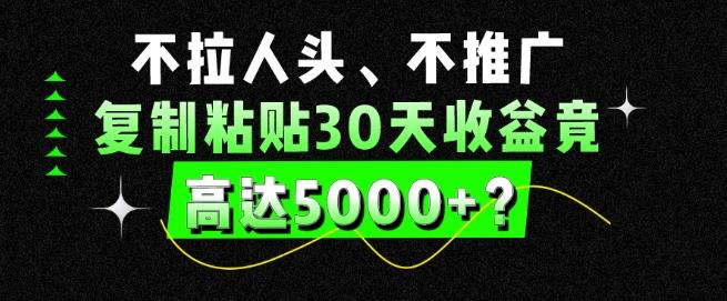 不拉人头、不推广，复制粘贴30天收益竟高达5000+？-随风资源网