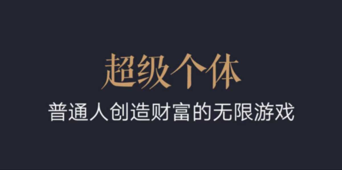 超级个体：2024-2025翻盘指南，普通人创造财富的无限游戏-随风资源网
