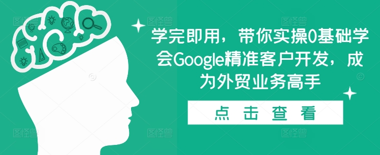 学完即用，带你实操0基础学会Google精准客户开发，成为外贸业务高手-随风资源网