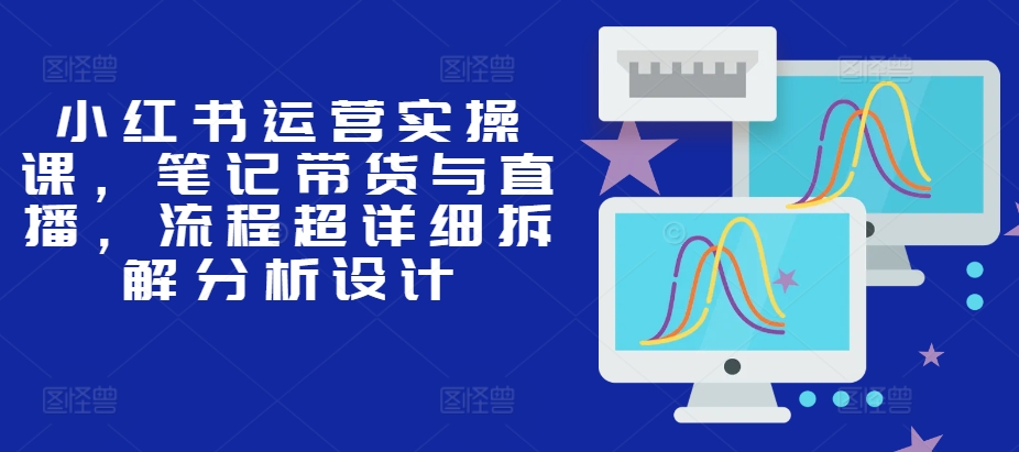 小红书运营实操课，笔记带货与直播，流程超详细拆解分析设计-随风资源网