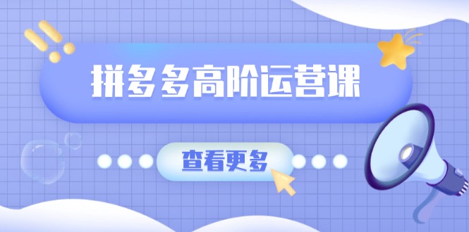 拼多多高阶运营课：极致群爆款玩法，轻付费无尽复制，打造单品爆款之路-随风资源网