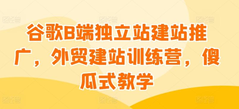 谷歌B端独立站建站推广，外贸建站训练营，傻瓜式教学-随风资源网