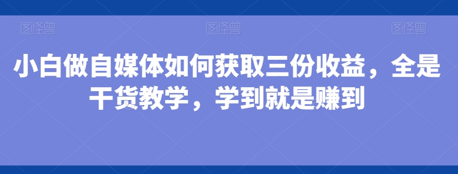 小白做自媒体如何获取三份收益，全是干货教学，学到就是赚到-随风资源网