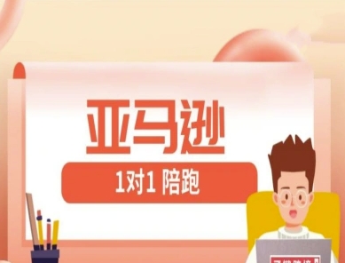 亚马逊1对1陪跑课(FBA/FBM精铺)跨境亚马逊教程-随风资源网