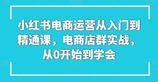 小红书电商运营从入门到精通课，电商店群实战，从0开始到学会-随风资源网