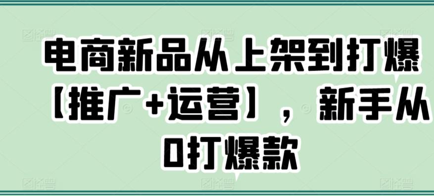 电商新品从上架到打爆【推广+运营】，新手从0打爆款-随风资源网
