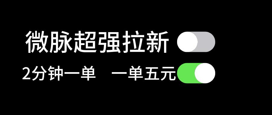 微脉超强拉新， 两分钟1单， 一单利润5块，适合小白-随风资源网