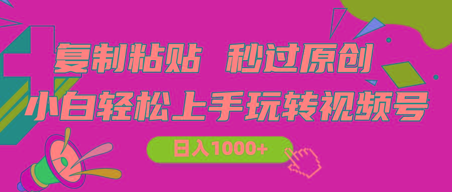 视频号新玩法 小白可上手 日入1000+-随风资源网