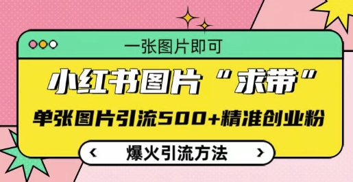小红书图片‘求带’爆火引流法，单张图片引流500+精准创业粉【揭秘】-随风资源网