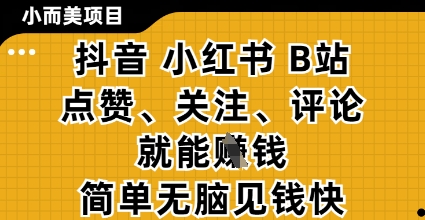 小而美的项目，抖音小红书B站视频点赞、关注、评论就能挣钱，简单无脑立见收益，妥妥的零撸项目【揭秘】-随风资源网