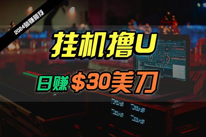 (10013期)日赚30美刀，2024最新海外挂机撸U内部项目，全程无人值守，可批量放大-随风资源网
