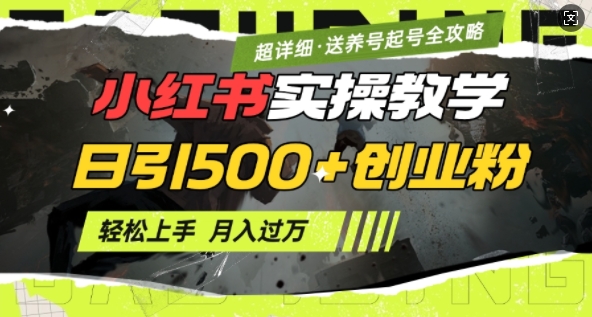 2月小红书最新日引500+创业粉实操教学【超详细】小白轻松上手，月入1W+，附小红书养号起号SOP-随风资源网