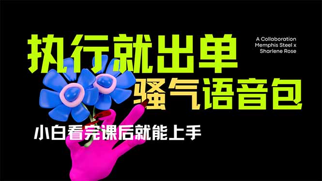 爆火全网的开车导航骚气语音包,只要执行就出单，小白看完课程就能实操…-随风资源网
