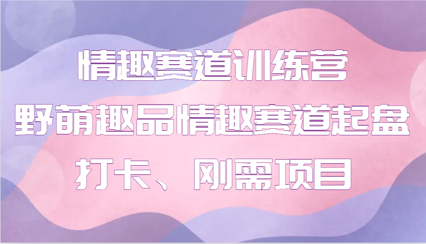 情趣赛道训练营 野萌趣品情趣赛道起盘打卡、刚需项目-随风资源网