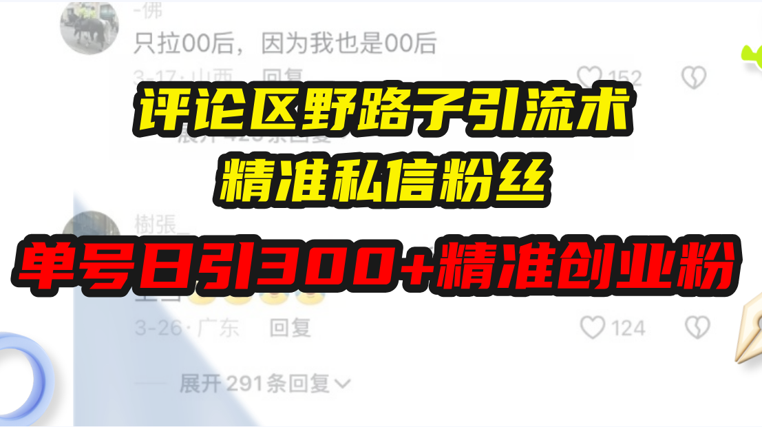评论区野路子引流术，精准私信粉丝，单号日引流300+精准创业粉-随风资源网