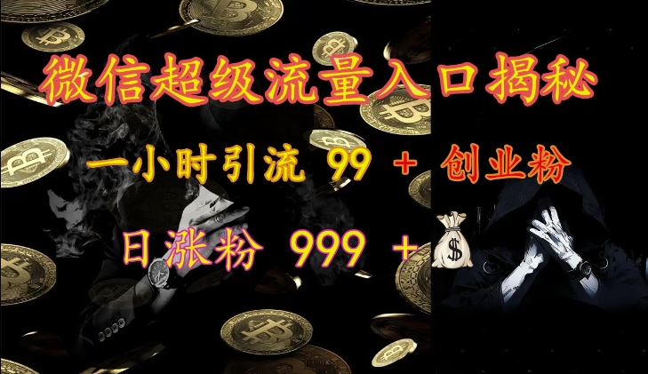 微信超级流量入口揭秘：一小时引流 99 + 创业粉，日涨粉 999 +-随风资源网