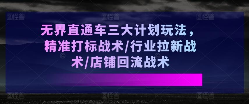 无界直通车三大计划玩法，精准打标战术/行业拉新战术/店铺回流战术-随风资源网