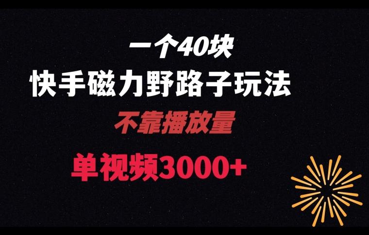 一个40块，快手联合美团磁力新玩法，无视机制野路子玩法，单视频收益4位数【揭秘】-随风资源网