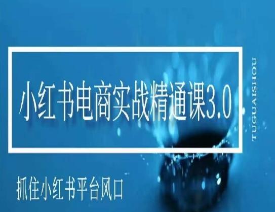 小红书电商实战精通课3.0，抓住小红书平台的风口，不错过有一个赚钱的机会-随风资源网