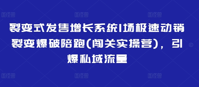 裂变式发售增长系统1场极速动销裂变爆破陪跑(闯关实操营)，引爆私域流量-随风资源网