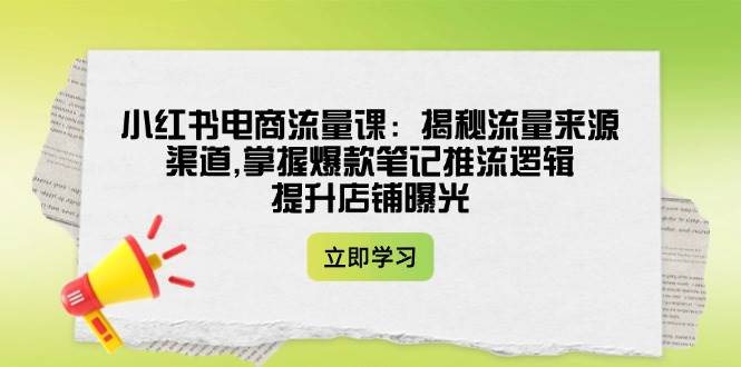 小红书电商流量课：揭秘流量来源渠道,掌握爆款笔记推流逻辑,提升店铺曝光-随风资源网