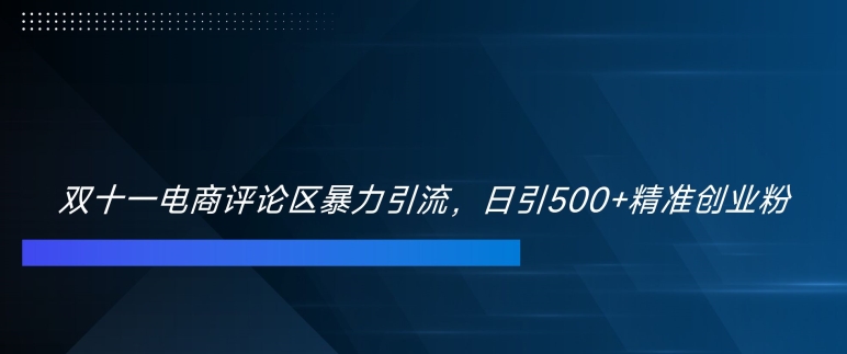 双十一电商评论区暴力引流，日引500+精准创业粉【揭秘】-随风资源网