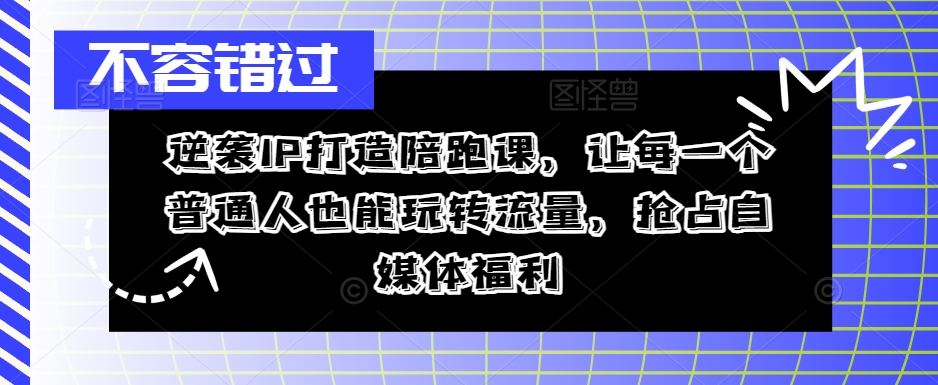 逆袭IP打造陪跑课，让每一个普通人也能玩转流量，抢占自媒体福利-随风资源网