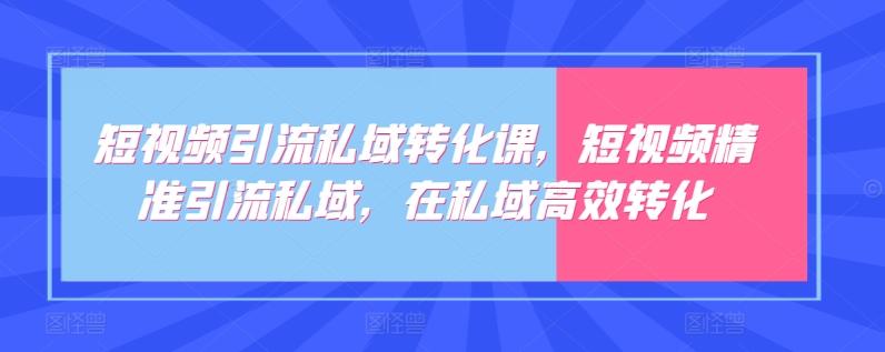 短视频引流私域转化课，短视频精准引流私域，在私域高效转化-随风资源网