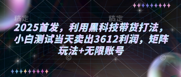 2025首发，利用黑科技带货打法，小白测试当天卖出3612利润，矩阵玩法+无限账号【揭秘】-随风资源网