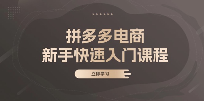 拼多多电商新手快速入门课程：涵盖基础、实战与选款，助力小白轻松上手-随风资源网